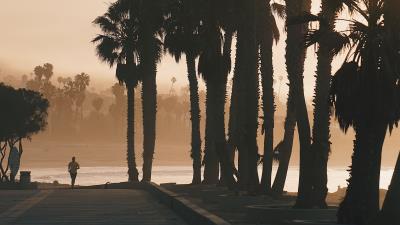 Palm trees sunset running 4k wallpaper