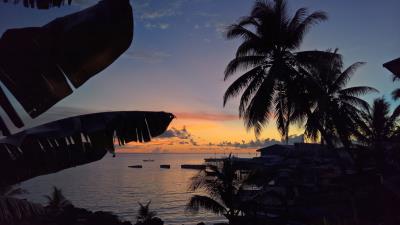 Palm trees sunset tropics 4k wallpaper