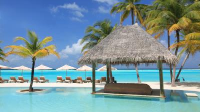 Palm trees vacation sun beds pool 4k wallpaper