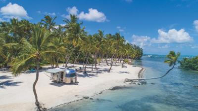 Palms tropics paradise 4k wallpaper