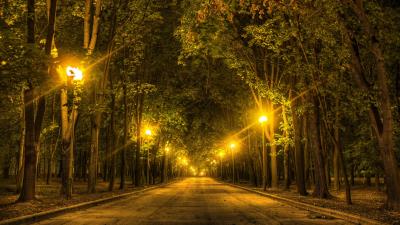 Park alley trees lights 4k wallpaper