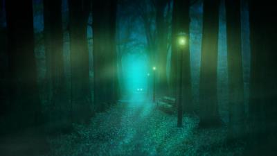 Park fog lantern 4k wallpaper