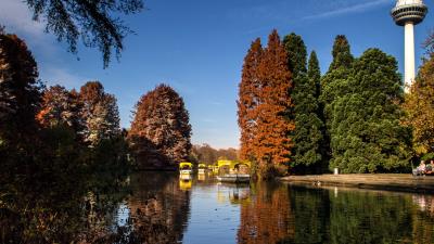 Park lake autumn trees reflection 4k wallpaper