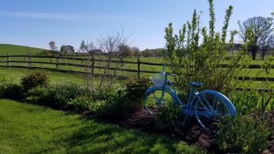 Pasture nature meadow grass bike 4k wallpaper
