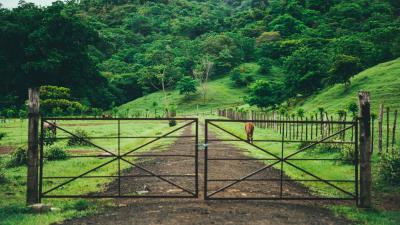 Pasture stable gates trees grass 4k wallpaper