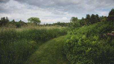 Path grass greenery 4k wallpaper
