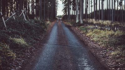 Path road grass trees 4k wallpaper