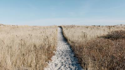 Path sand grass 4k wallpaper