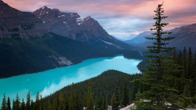 Peyto lake canada mountains tj 4k wallpaper