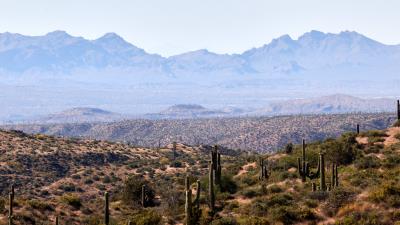 Prairies cacti mountains 4k wallpaper