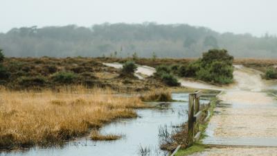 Puddle road wet 4k wallpaper