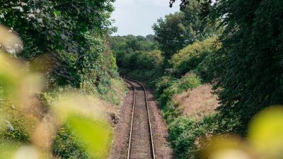 Rails railway trees 4k wallpaper