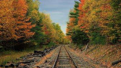 Railway road forest 4k wallpaper