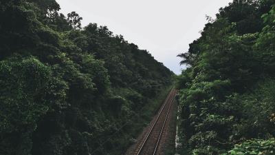 Railway trees road 4k wallpaper