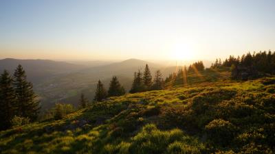 Rays slope grass 4k wallpaper