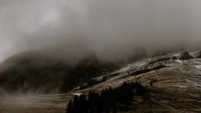 Relief fog trees 4k wallpaper