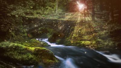 River bridge sunlight 4k wallpaper