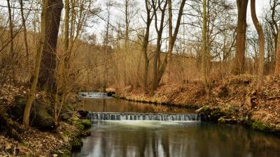 River forest nature image 4k wallpaper