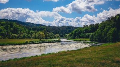 River forest trees ff 4k wallpaper