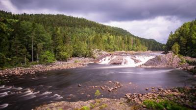 River forest trees image 4k wallpaper