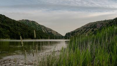 River grass hills 4k wallpaper