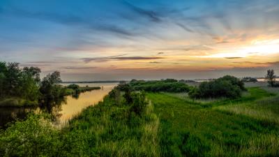 River horizon bushes 4k wallpaper
