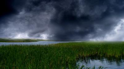 River reeds clouds nature 4k wallpaper
