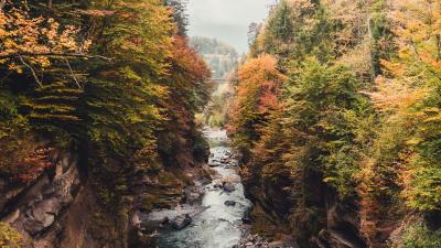 River rocks stream 4k wallpaper