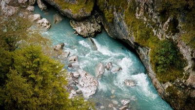 River rocks trees 4k wallpaper