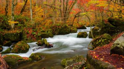 River stream autumn 4k wallpaper