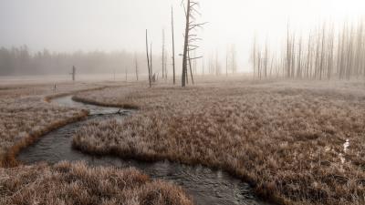 River stream grass 4k wallpaper