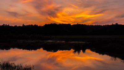 River sunset bushes 4k wallpaper