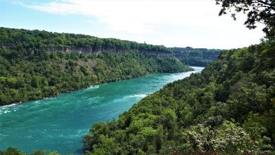 River trees branches image 4k wallpaper