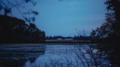 River trees branches 4k wallpaper