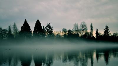 River trees fog reflection 4k wallpaper
