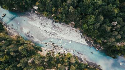 River trees forest image 4k wallpaper