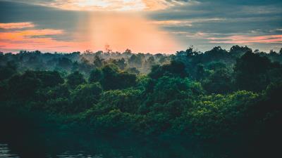 River trees horizon 4k wallpaper