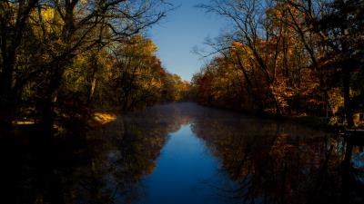 River trees reflection 4k wallpaper