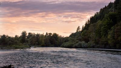 River trees shore 4k wallpaper