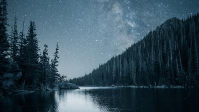 River trees starry sky 4k wallpaper