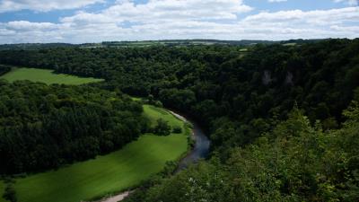 River winding trees 4k wallpaper
