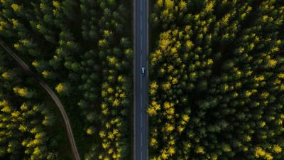 Road aerial view trees 4k wallpaper