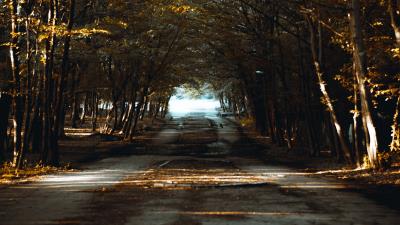 Road alley trees ggg 4k wallpaper