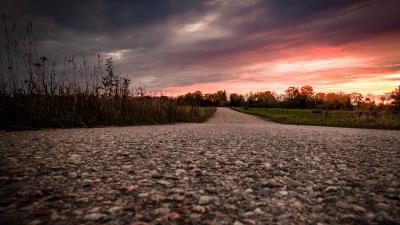 Road asphalt trees image 4k wallpaper