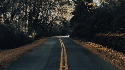Road asphalt trees 4k wallpaper