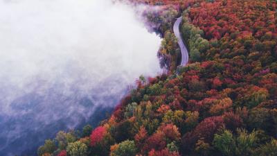 Road autumn fog 4k wallpaper