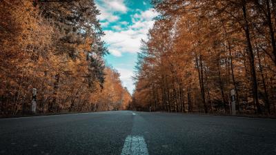 Road autumn trees 4k wallpaper