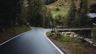 Road distance trees image 4k wallpaper