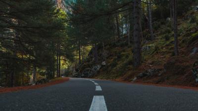 Road distance trees 4k wallpaper