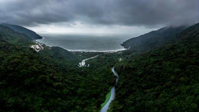 Road fog aerial view 4k wallpaper